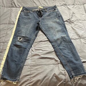For The Republic Blue Ankle & Cropped Jeans